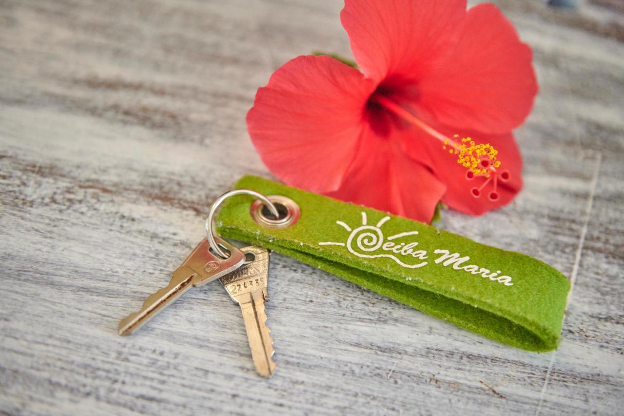 Casa Ceiba Maria Hotel Cala D´Or Екстериор снимка