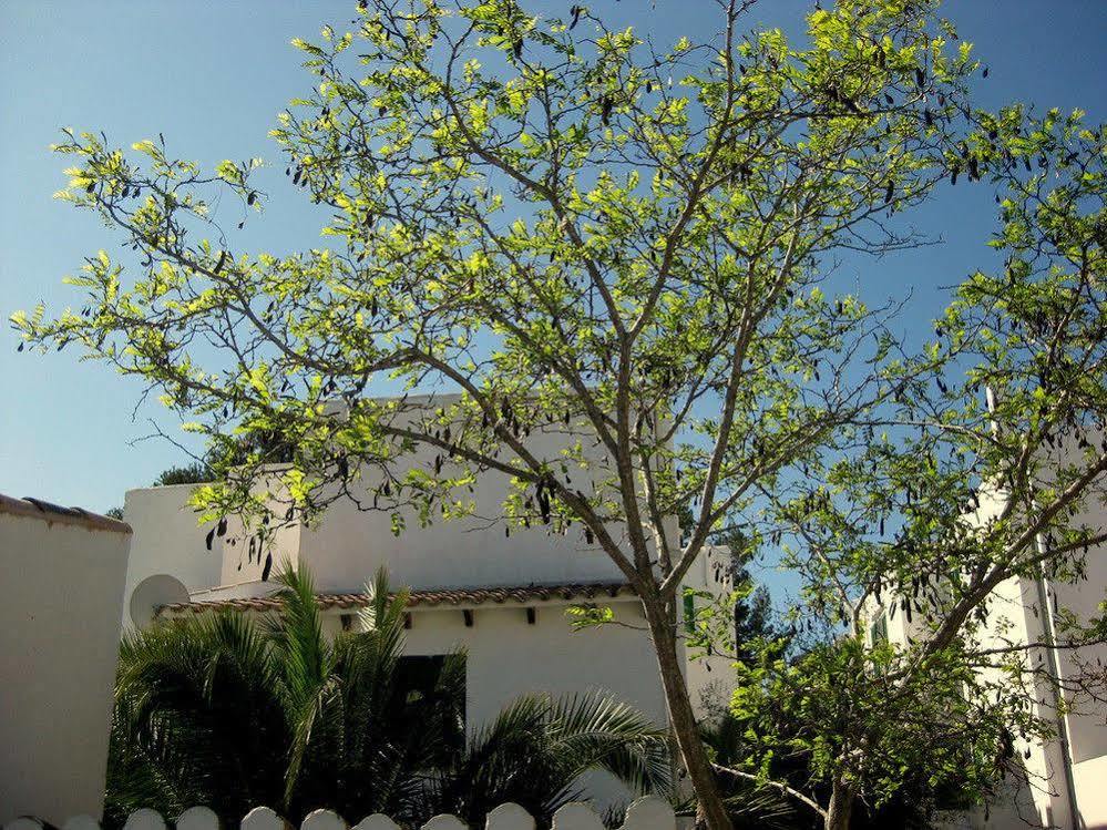 Casa Ceiba Maria Hotel Cala D´Or Екстериор снимка